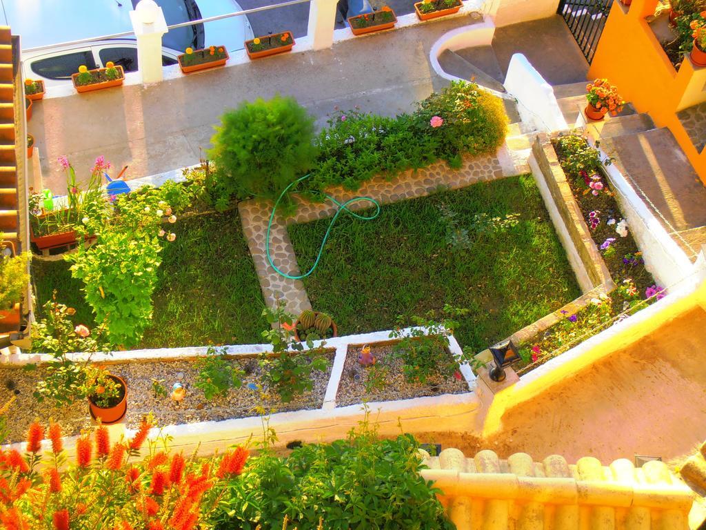 Panorama Apartment