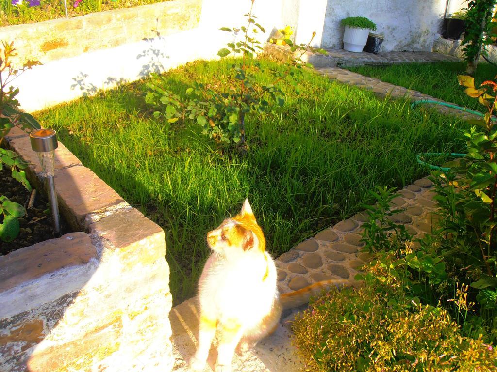 Panorama *