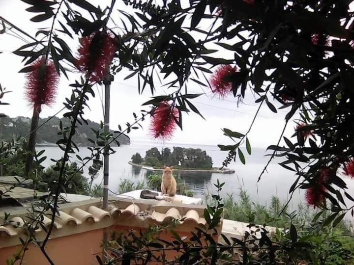 Panorama Apartmán