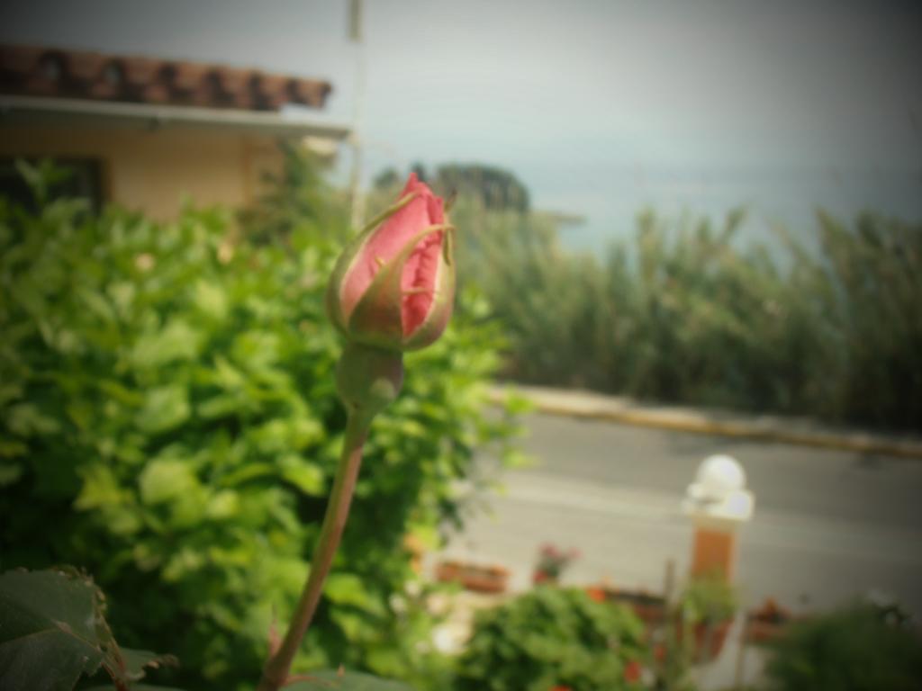 Panorama Apartamento *